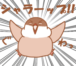 Lady cinnamon java sparrow Cinnamonchan sticker #10989297