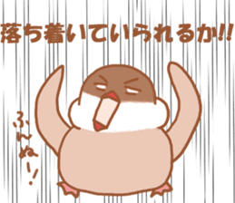 Lady cinnamon java sparrow Cinnamonchan sticker #10989299