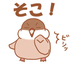 Lady cinnamon java sparrow Cinnamonchan sticker #10989300