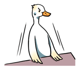 Quack Quack Duck Talk (part 3) sticker #10989345