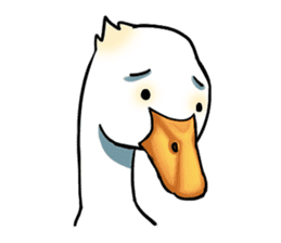 Quack Quack Duck Talk (part 3) sticker #10989380