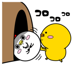 Higepiyo6 sticker #10989482