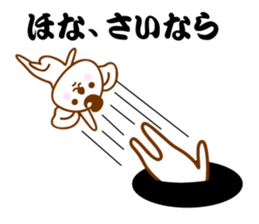 Kansai Ben Koala sticker #10990654