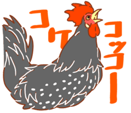 Chicken and Silkie sticker #10991841