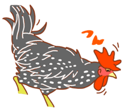 Chicken and Silkie sticker #10991847