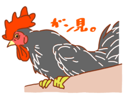 Chicken and Silkie sticker #10991849