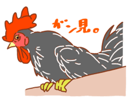 Chicken and Silkie sticker #10991849