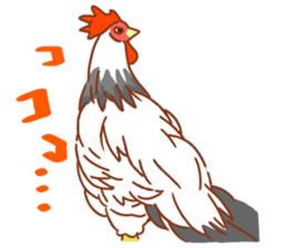 Chicken and Silkie sticker #10991852