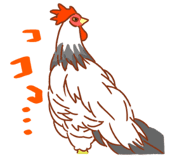 Chicken and Silkie sticker #10991852