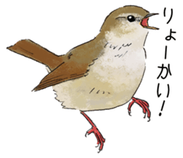 Popular birds sticker #10992625