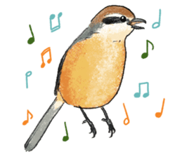 Popular birds sticker #10992627