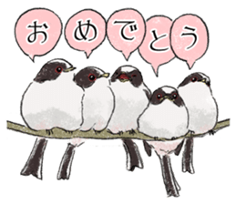 Popular birds sticker #10992628