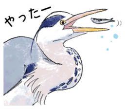 Popular birds sticker #10992636