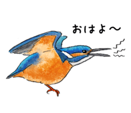 Popular birds sticker #10992638