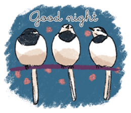 Popular birds sticker #10992639