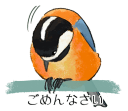 Popular birds sticker #10992640