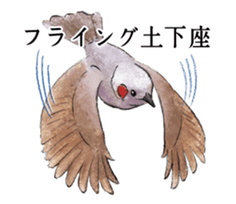 Popular birds sticker #10992641