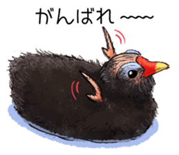 Popular birds sticker #10992644