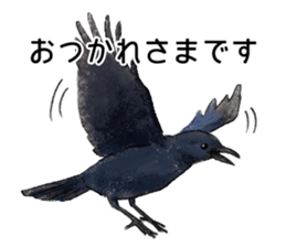 Popular birds sticker #10992646