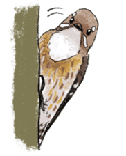 Popular birds sticker #10992648