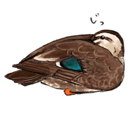 Popular birds sticker #10992649