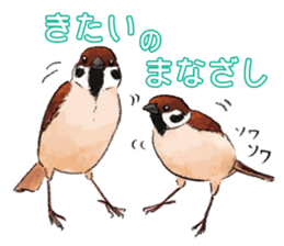 Popular birds sticker #10992650