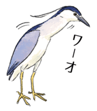 Popular birds sticker #10992651