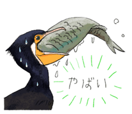 Popular birds sticker #10992652