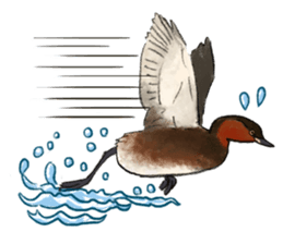 Popular birds sticker #10992653