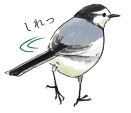 Popular birds sticker #10992659