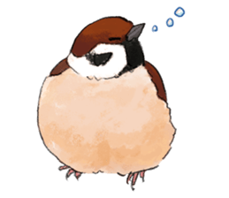 Popular birds sticker #10992661