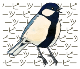 Popular birds sticker #10992663
