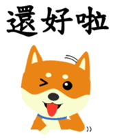 Story of meow and growl - common words sticker #10992804