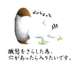 usagisan-sticker sticker #10994125