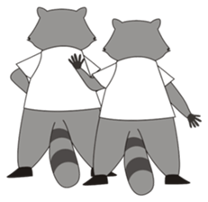 Lovely North American Raccoon sticker #10994306