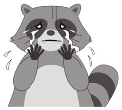 Lovely North American Raccoon sticker #10994312