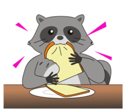 Lovely North American Raccoon sticker #10994313