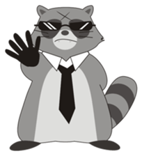 Lovely North American Raccoon sticker #10994318