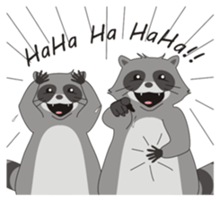 Lovely North American Raccoon sticker #10994324