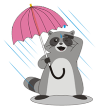 Lovely North American Raccoon sticker #10994329