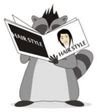 Lovely North American Raccoon sticker #10994330