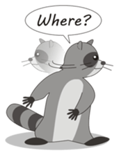 Lovely North American Raccoon sticker #10994331