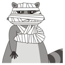 Lovely North American Raccoon sticker #10994332