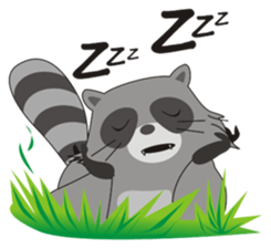 Lovely North American Raccoon sticker #10994334