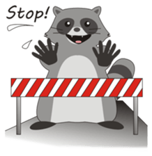 Lovely North American Raccoon sticker #10994335