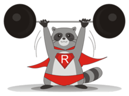 Lovely North American Raccoon sticker #10994336