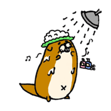 Kawauso kun sticker #10994350