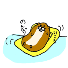 Kawauso kun sticker #10994353