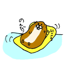 Kawauso kun sticker #10994353
