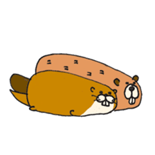 Kawauso kun sticker #10994361